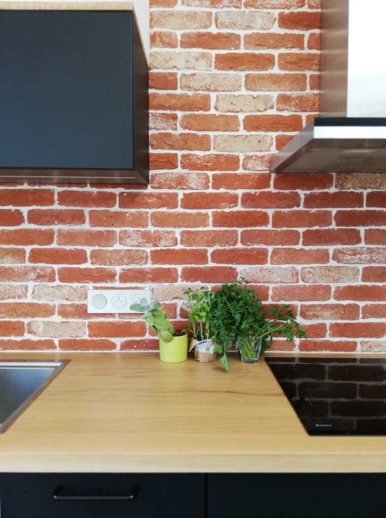 Extension type jardin d'hiver : extension-nantes-brique-cuisineC-1024